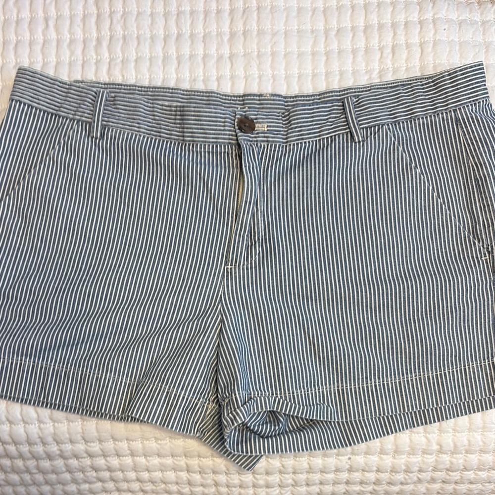 Women’s Gap Blue and White Striped Shorts, size 12
